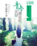 青春正好网剧