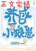 养了一只小狼崽书包网