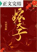 嫁天子 作者风储黛