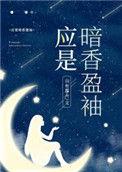 应是暗香盈袖百度