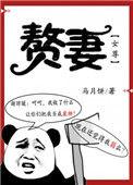 赘妻(女尊)讲什么