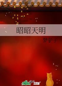 昭昭天明txt资源