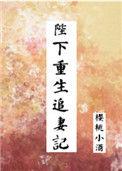 陛下重生追妻记樱桃小酒