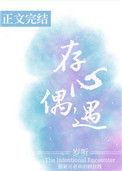存心偶遇宝书网