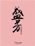 盛芳集团