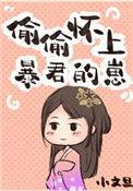 偷偷怀了影帝的崽