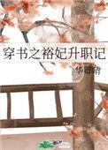 穿书之裕妃升职记讲的什么