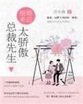 总裁先生请息怒