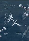我的危险夫人完整版