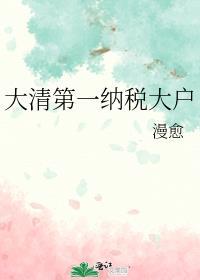 大清第一纳税大户有男主吗