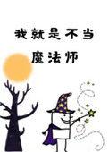 我就是不当魔法师 完结 番外