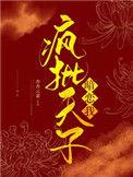 锁宫翎txt