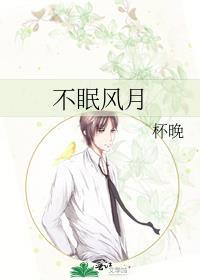 不眠夜是什么