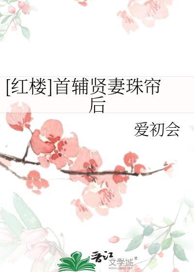 首辅夫人攻略