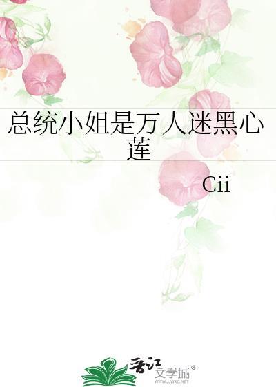 总统夫人