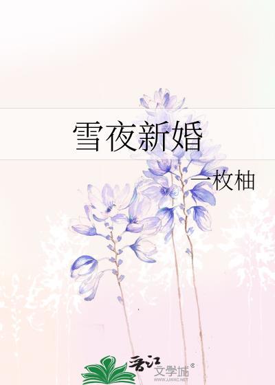 雪夜是谁