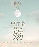 曾许诺·殇书籍