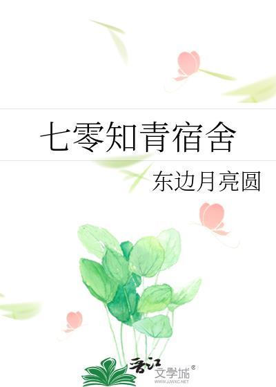 七零知青宿舍日记