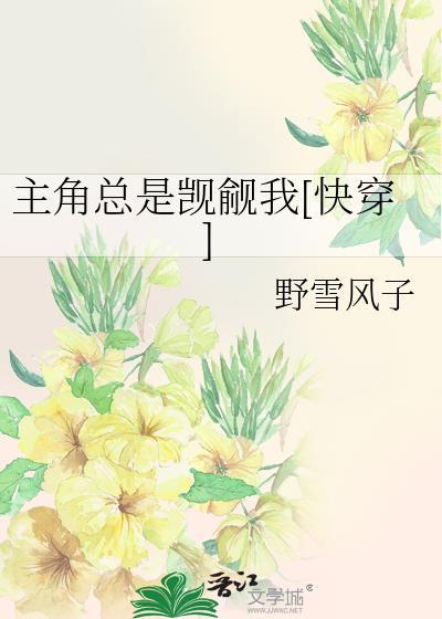 主角总是觊觎我快穿作者野雪风子全