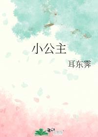 小公主追夫记