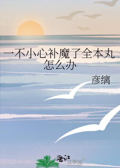 一不小心全本丸by彦璃txt