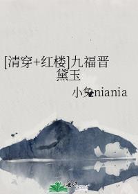 红楼之九福晋