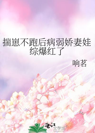 揣崽就不能离婚