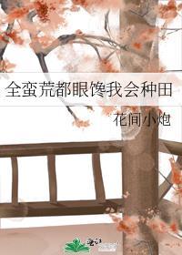公府嫡长媳格格党