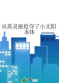从英灵座抢夺了小太阳本体txt