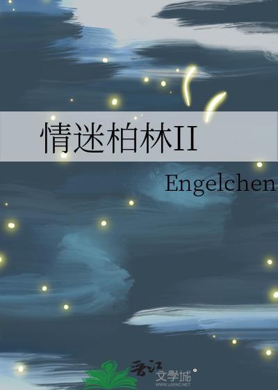 情迷柏林讲了什么