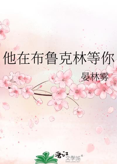 他在布鲁克林等你by晏林雾
