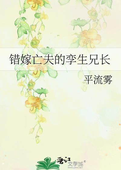 错嫁亡夫的孪生兄长简介