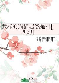 我养的猫游戏