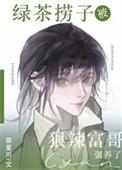 绿茶捞子被狠辣富哥强养了txt盘