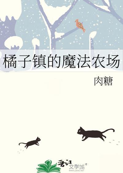 橘子镇的宝藏探索