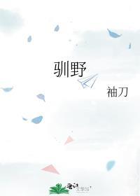 驯野1短剧免费观看全集电视剧