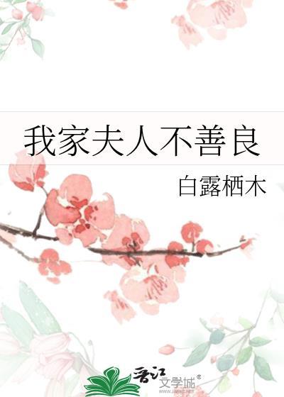 我家夫人什么都不懂