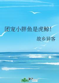 团宠小胖视频