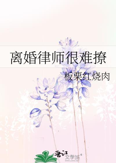 离婚律师我执