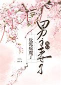 男主的反派老婆