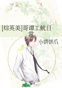 哥谭攻略指南综英美