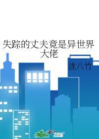 失踪的妻子之谜