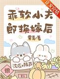 乖软小夫郎换嫁后txt