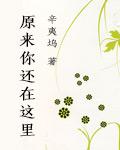 致青春原来你还在这里主演