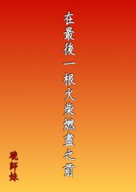 告别燃尽最后一根火柴免费阅读