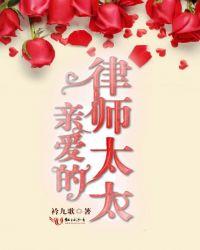 亲爱的律师先生免费阅读全文