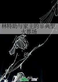 林特特百科