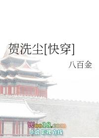贺洗尘快穿txt