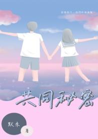 共同的秘密的情节流程图