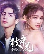 彼岸花落知多少